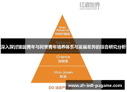 深入探讨埃因青年与阿贾青年培养体系与发展差异的综合研究分析
